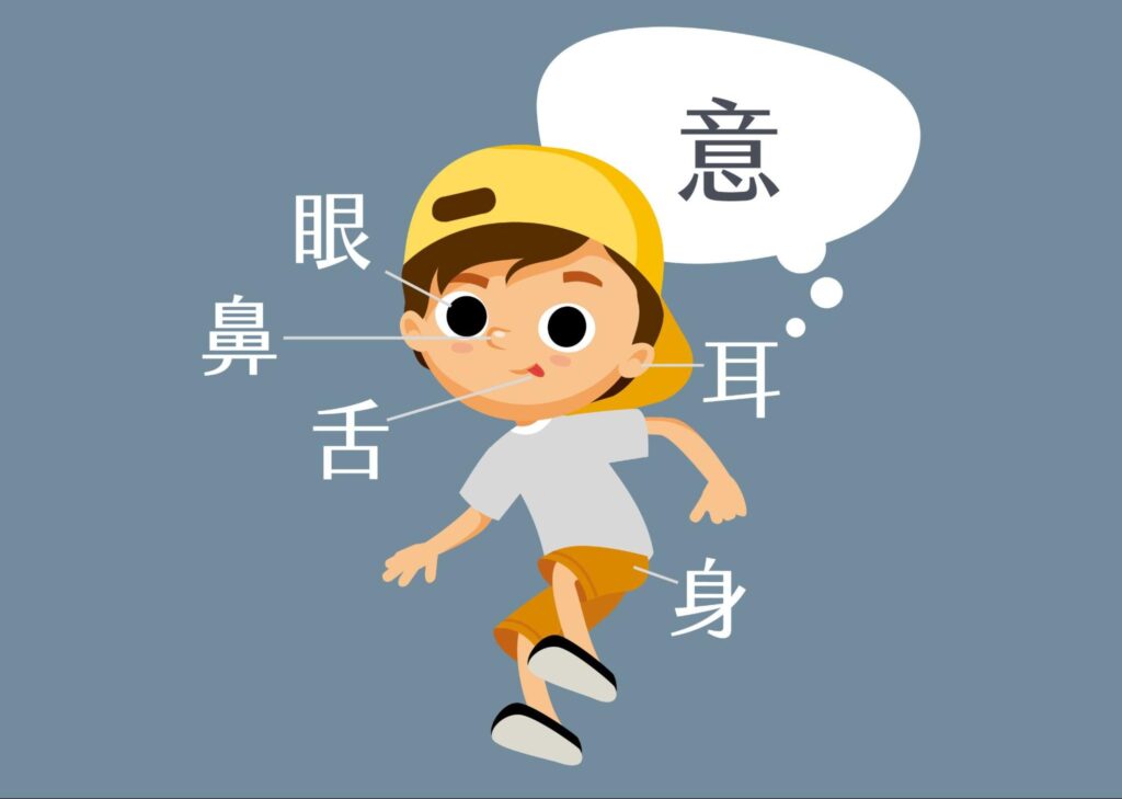 EMI教學手法推薦:CLN 五感教學法